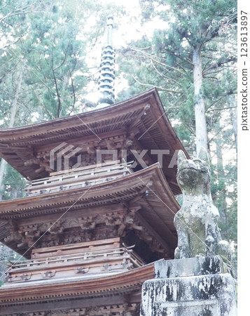 信州光前寺 駒根市 信州光前寺 駒根市 123613897