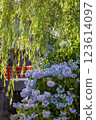 Hydrangea and red bridge 123614097