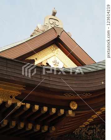 Yumejima梅花 123614219