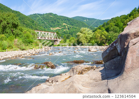 river flows through the valley in carpathian mountains. scenic view. shallow water reveals stones. beautiful landscape in summer on an sunny morning. blue sky with cloud river flows through the valley in carpathian mountains. scenic view. shallow water reveals stones. beautiful landscape in summer on an sunny morning. blue sky with cloud 123614504