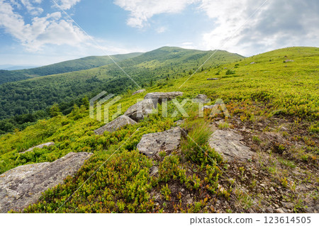 stones and rocks on the slope of alpine meadow. natural environment. summer mountain landscape with cloudy sky. grassy hill top in the distant background. rolling scenery with open vista 123614505