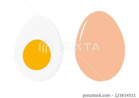 Half hard boiled egg with yolk and whole beige egg in shell Egg Day Greeting Design element concept 123614531