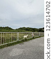 Baby goat 123614702