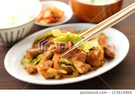 Eating stir-fried horumon set meal with chopsticks, blurred background Eating stir-fried horumon set meal with chopsticks, blurred background 123614868