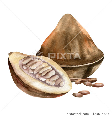 Cocoa beans watercolor composition with cocoa powder, pod and dried beans illustrations. Hand drawn isolated tropical fruit clipart, coffee and chocolate ingredient painting for packing,label design 123614883