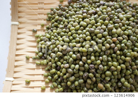 很多青豆 123614906