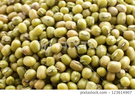 很多青豆 123614907