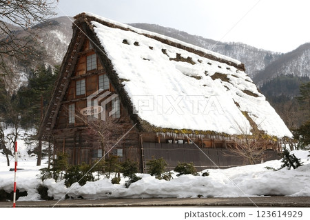 Shirakawa-go Ogimachi Gassho Village [Shirakawa Village, Ono-gun, Gifu Prefecture] 123614929