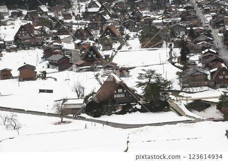 Shirakawa-go Ogimachi Gassho Village [Shirakawa Village, Ono-gun, Gifu Prefecture] 123614934