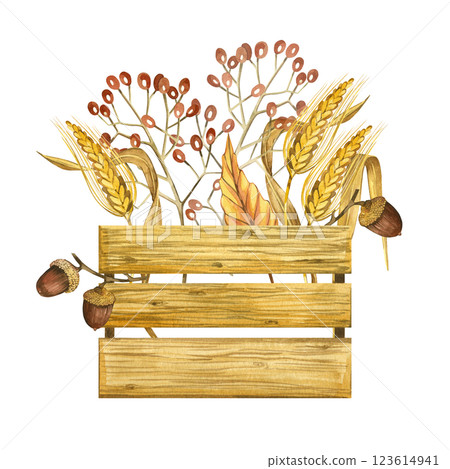 Harvesting, a box with nuts, ripe berries, ears of wheat, dry leaves, branches. All objects are hand-drawn with watercolors. Suitable for printing on product packaging, fabric, for design. Harvesting, a box with nuts, ripe berries, ears of wheat, dry leaves, branches. All objects are hand-drawn with watercolors. Suitable for printing on product packaging, fabric, for design. 123614941
