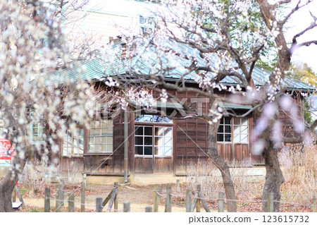 府中市地方森林博物館，東京梅面 123615732