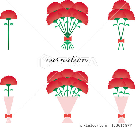 康乃馨花束套裝 康乃馨花束套裝 123615877