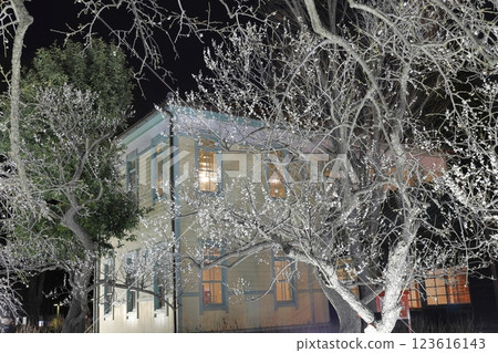 府中市鄉土森林博物館梅花節彩燈 府中市鄉土森林博物館梅花節彩燈 123616143