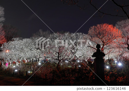 府中市鄉土森林博物館梅花節彩燈 府中市鄉土森林博物館梅花節彩燈 123616146