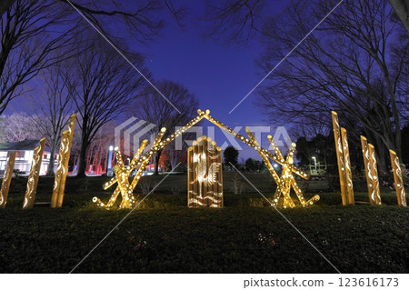 Fuchu City Local Forest Museum Plum Festival Illumination Fuchu City Local Forest Museum Plum Festival Illumination 123616173
