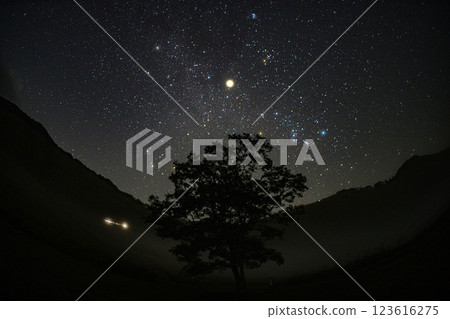 Milky way in summer 123616275