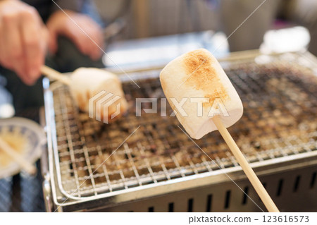 在小燒烤架上烤棉花糖 在小燒烤架上烤棉花糖 123616573