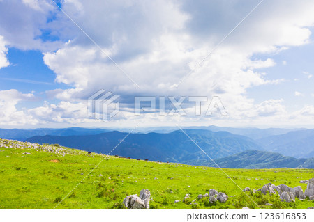 Shikoku karst 123616853