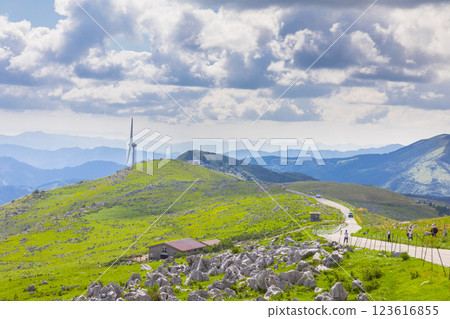 Shikoku karst 123616855