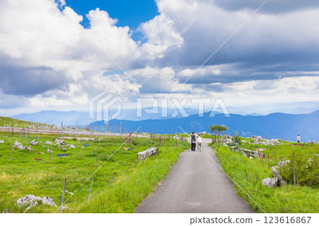 四國喀斯特 123616867