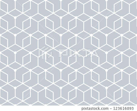 The geometric pattern with lines. Seamless vector background. White and gray texture. Graphic modern pattern. Simple lattice graphic design The geometric pattern with lines. Seamless vector background. White and gray texture. Graphic modern pattern. Simple lattice graphic design 123616893