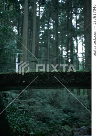 關市洞戶市的岩門瀑布 123617046