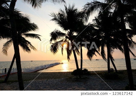 Sunset on a palm beach in southern Spain 123617142