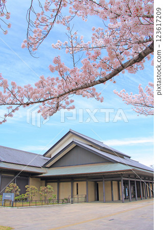 愛知縣名古屋市、名古屋能樂堂和盛開的櫻花 愛知縣名古屋市、名古屋能樂堂和盛開的櫻花 123617209