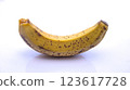 Ripe Spotted Banana, Close-Up Isolated on White Background 123617728