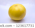 Fresh Yellow Honeydew Melon, Close-Up Shot Isolated on White Background 123617731