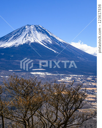 從山梨縣龍岳眺望富士山的壯麗景色 從山梨縣龍岳眺望富士山的壯麗景色 123617836