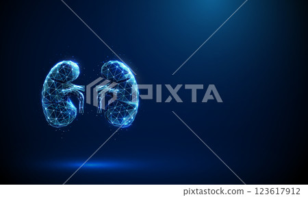 Abstract blue human kidneys. Low poly style. Kidneys anatomy, health, medical diagnostics concept. 123617912