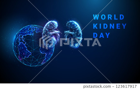 Abstract blue human kidneys with planet Earth. World kidney Day banner. Kidneys health awareness and global medical campaigns concept. 123617917