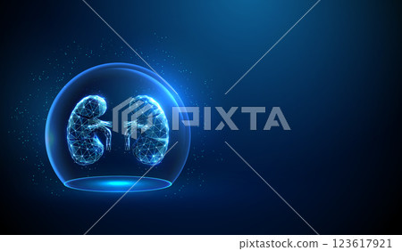 Abstract blue human kidneys inside a glass dome. Neon sphere shield Healthcare protection medical concept. 123617921