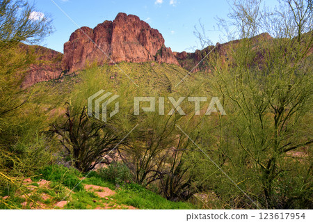 Salt River Recreation Area Arizona Salt River Recreation Area Arizona 123617954