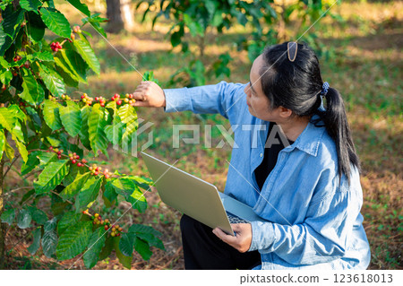 Harvest coffee bean ripe Red berries typing laptop computer check quality control plant coffee tree. Smart farmer using laptop in green coffee farm sustainable quality control agriculture technology 123618013