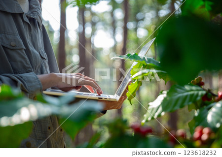 Harvest coffee bean ripe Red berries typing laptop computer check quality control plant coffee tree. Smart farmer using laptop in green coffee farm sustainable quality control agriculture technology 123618232