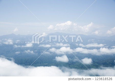 Mountain landscape. foggy morning. High angle view of trees in forest during foggy weather. Beautiful mountain and cloud natural landscape at sunrise in Thailand. evergreen coniferous forest in fog. 123618526