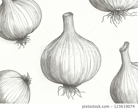 Seamless pattern of hand-drawn garlic bulbs in black and white engraving style Seamless pattern of hand-drawn garlic bulbs in black and white engraving style 123619074