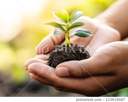 Hands gently holding a small green seedling in rich soil, symbolizing growth, sustainability Hands gently holding a small green seedling in rich soil, symbolizing growth, sustainability 123619087
