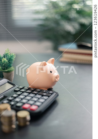 Finance bank tax expense accounting budget money businessman hand use calculator Financial calculate accountant close up calculator with graph chart write office desk Business expense analysis saving 123619426