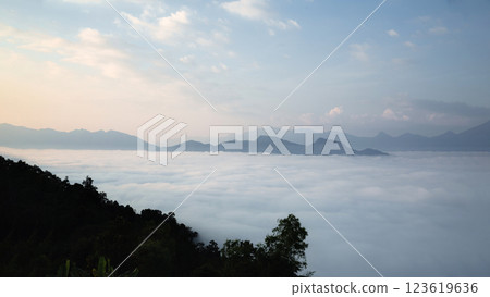 Mountain landscape. foggy morning. High angle view of trees in forest during foggy weather. Beautiful mountain and cloud natural landscape at sunrise in Thailand. evergreen coniferous forest in fog. 123619636