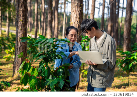 Harvest coffee bean ripe Red berries typing laptop computer check quality control plant coffee tree. Smart farmer using laptop in green coffee farm sustainable quality control agriculture technology 123619834