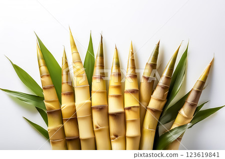 Bamboo shoot image material 123619841