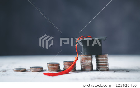 Saving money coin with banking investment, finance education concept. Planning student loan for studying abroad for college or university degree. Future children's education fund cash. Growing 123620416