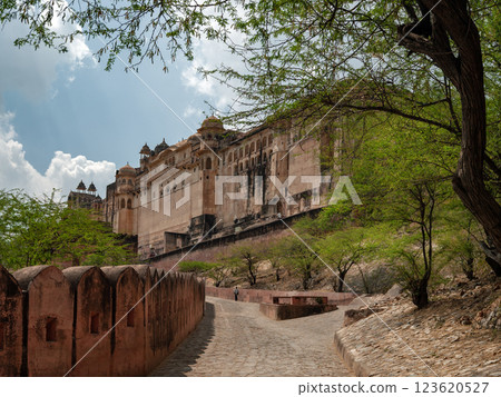 The Amber Fort in Jaipur, Rajasthan in India 123620527