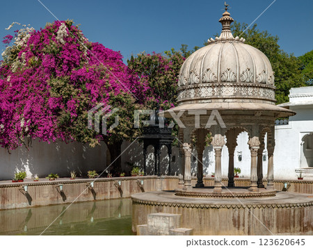 Interior courtyard in the City Palace - Udaipur - India 123620645