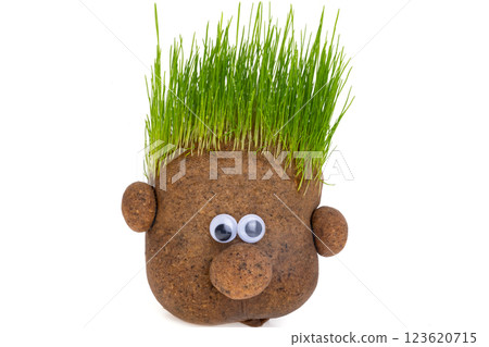 doll with growing grass doll with growing grass 123620715