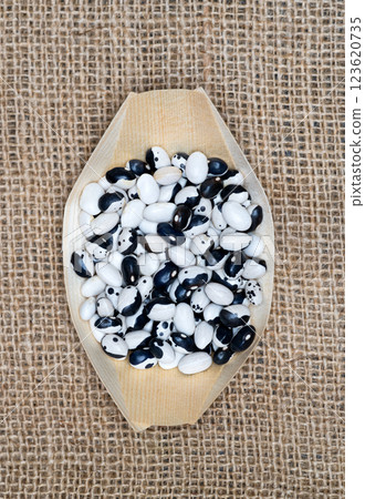 haricot beans haricot beans 123620735