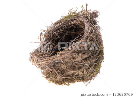 bird nest isolated bird nest isolated 123620769